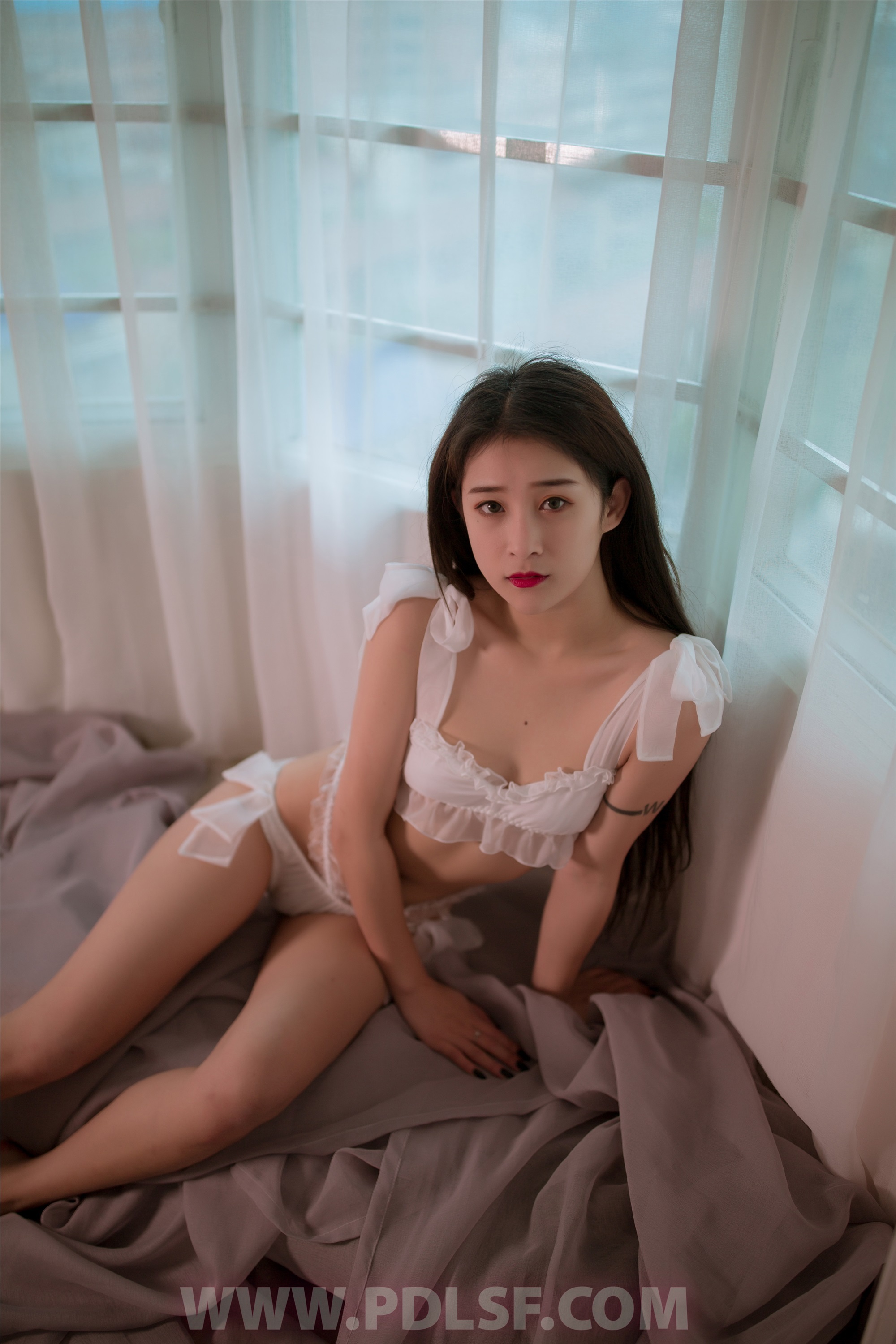 PDL潘多拉 2019.12.13 专辑No.253